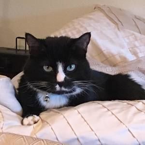 Meet your Posher, Makenna